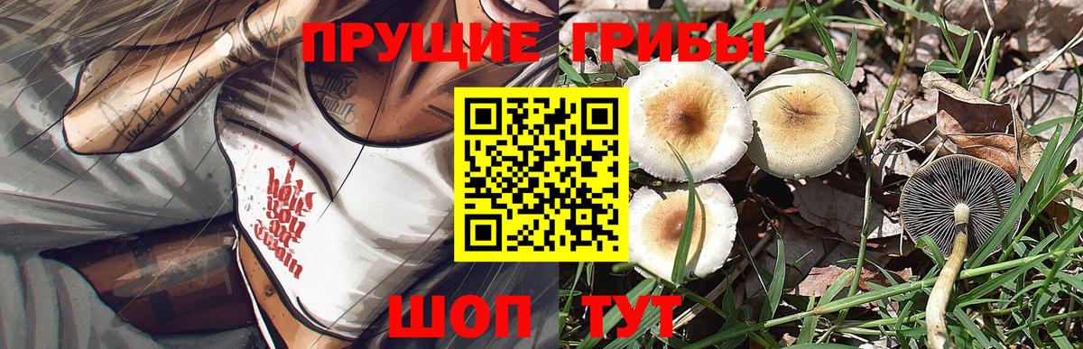 Галлюциногенные грибы прущие грибы  Вход с VPN  Шали 