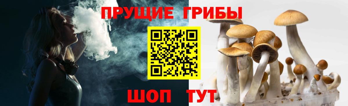 Псилоцибиновые грибы Psilocybe Шали